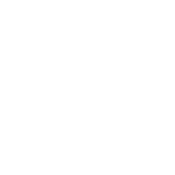 mixon foundation crawl space repair